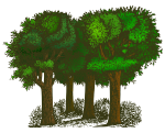 trees-colorized-002